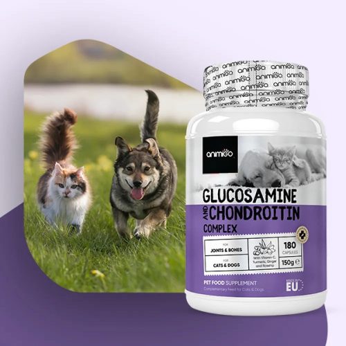 Glucosamine 26 Chondroitin 02 uk