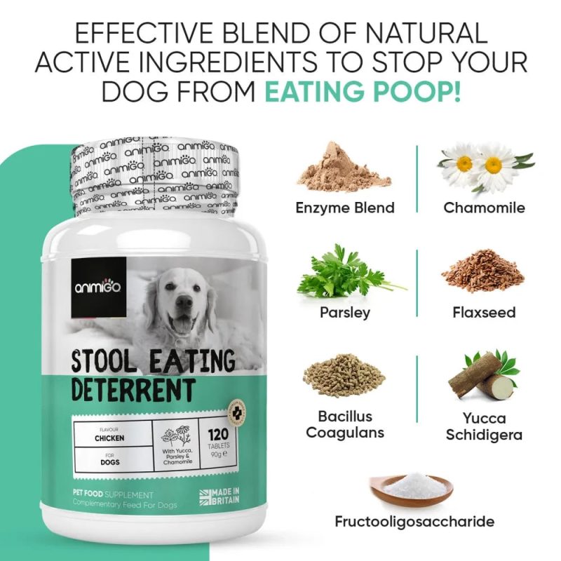 coprophagia stool eating deterrent uk 03