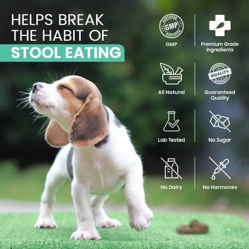 coprophagia stool eating deterrent uk 05