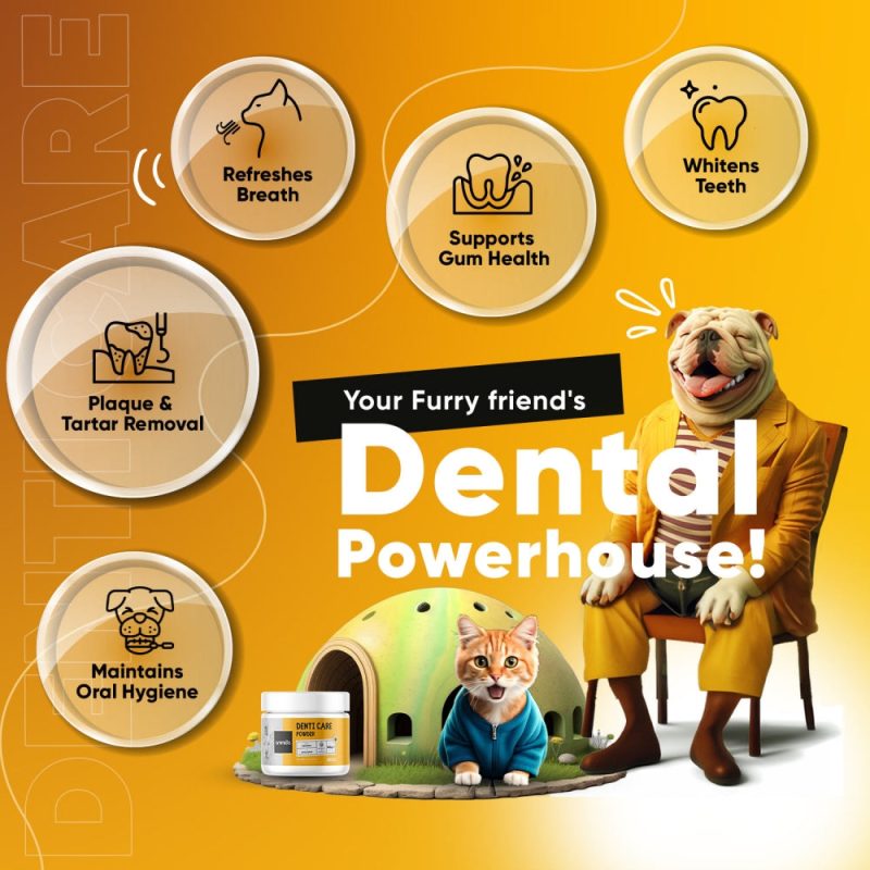 denti care 180 powder uk 5