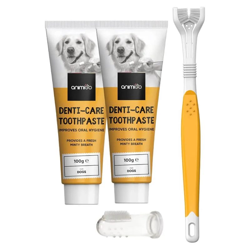 denti care kit front