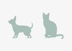 icon cats dogs