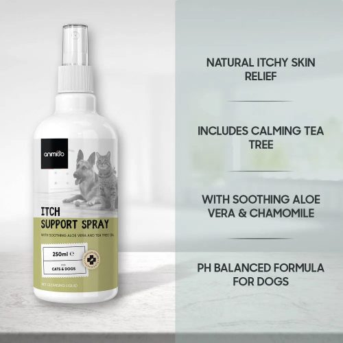 itch support spray uk 04