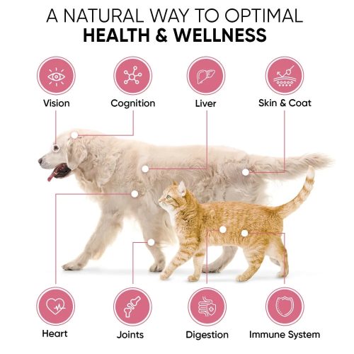 multivitamins and minerals for dogs cat uk 04 c8641cbd 5b58 4203 9176 a7e71c9f08f9