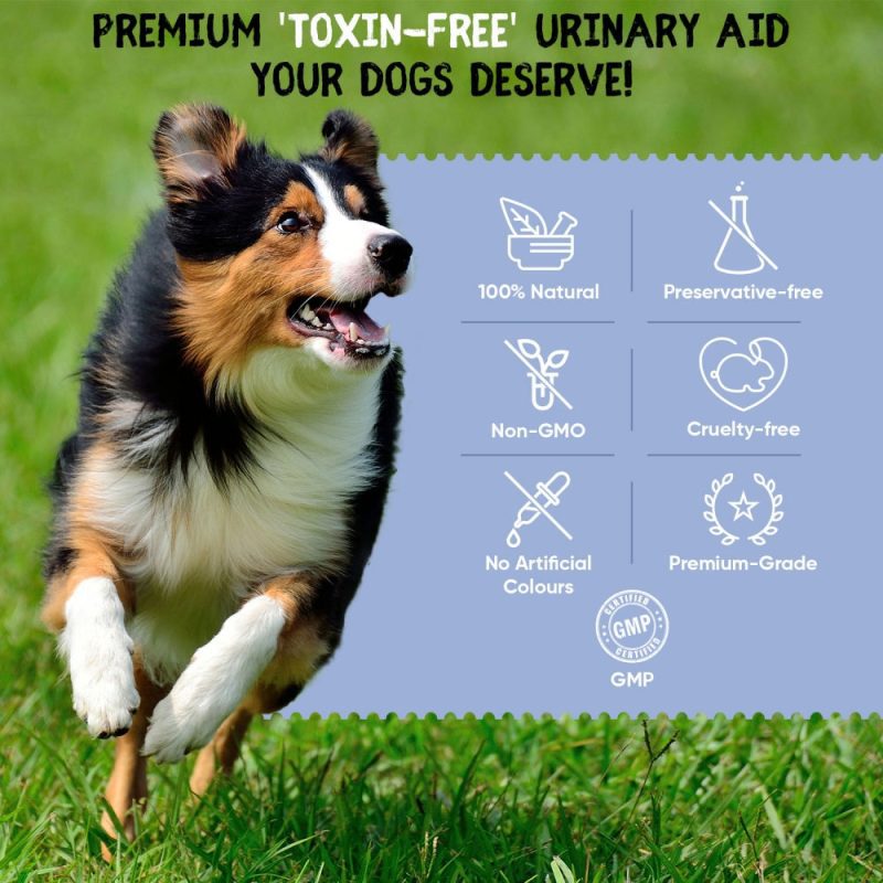 urinary aid dogs 120 caps uk 4 3417c896 aa38 4f6e b6f3 ad499d4606db